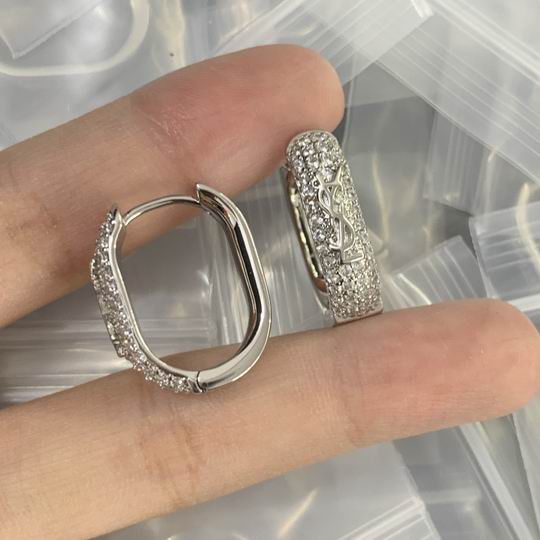 YSL Earrings 05lyh293